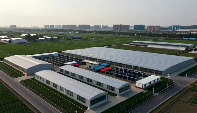 技术成果转化中的效率提升路径分析